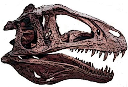 Acrocanthosaurus skull