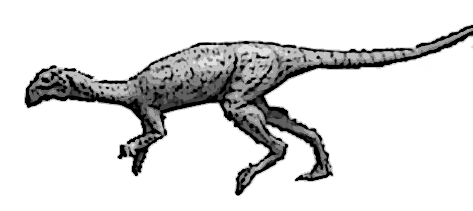 Agilisaurus sketch