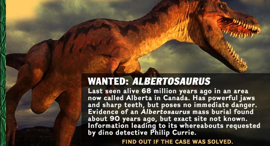Wanted: Albertosaurus