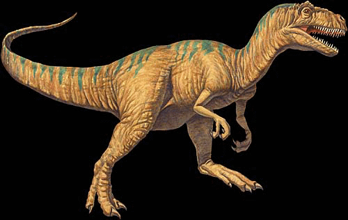 Allosaurus shape