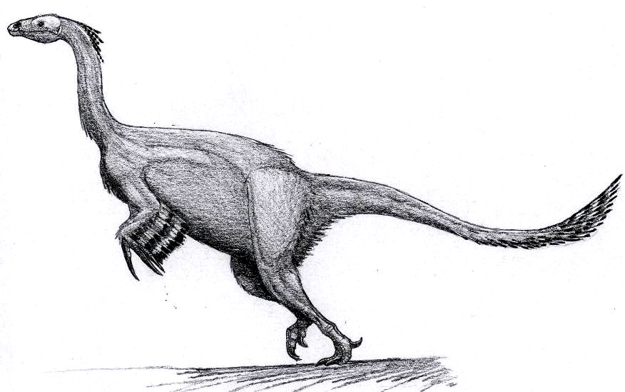 Alxasaurus elestaiensis