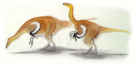 Alxasaurus pack
