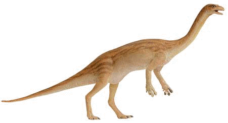 Anchisaurus shape