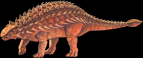 Ankylosaurus shape