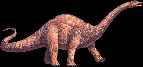 Apatosaurus aspect