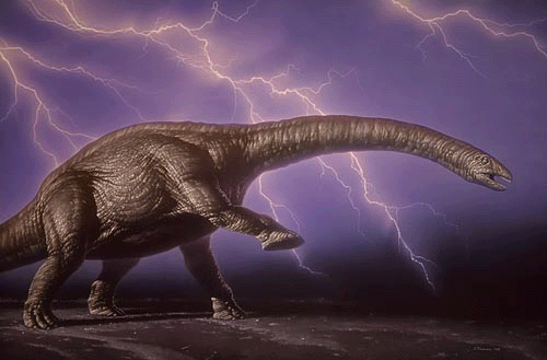 Apatosaurus reconstruction