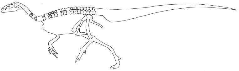 Aristosuchus pusillus (with Calamospondylus)