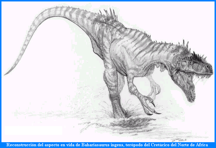 Aspecto en vida de Baharisaurus ingens