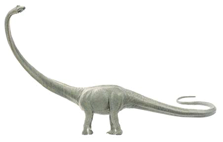 Barosaurus aspect