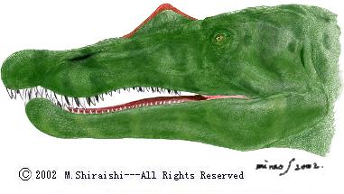 [IMAGE]
Copyright © 2005 Mineo Shiraishi.
All Rights Reserved.