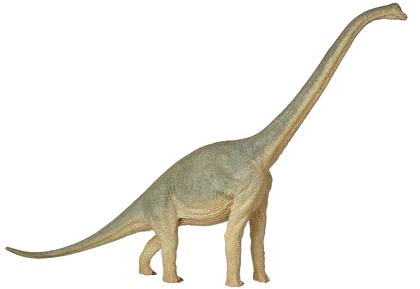 Brachiosaurus aspect