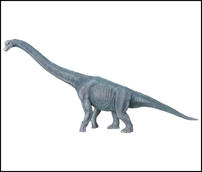 Brachiosaurus Dinosaur Model Replica
