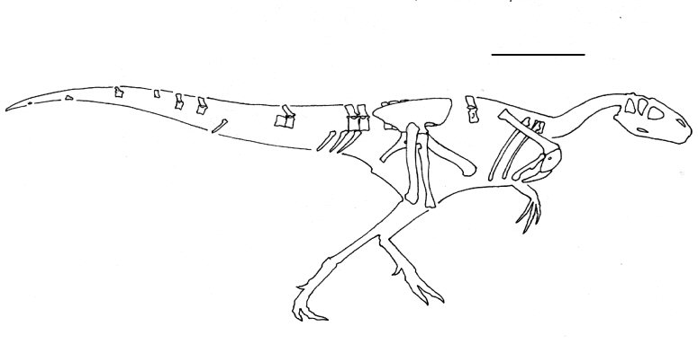 Brontoraptor