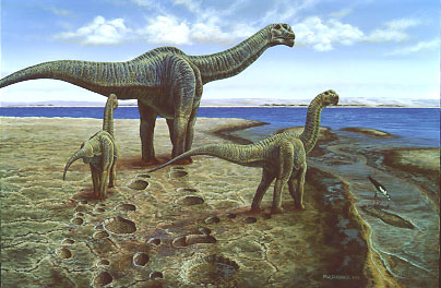 Camarasaurus dinosaur facts, stats and image