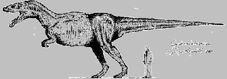Carcharodontosaurus aspect
