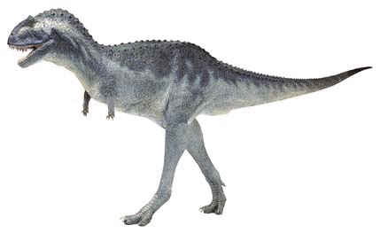 Carnotaurus aspect