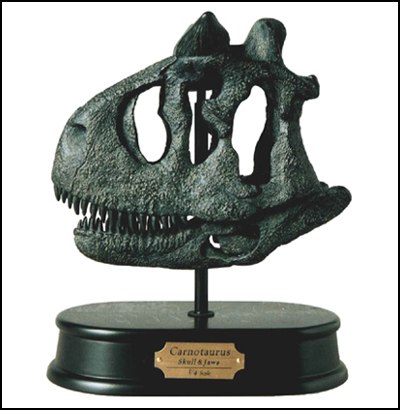 Carnotaurus Skull Model Replica