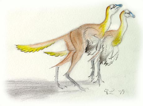 Caudipteryx pair
