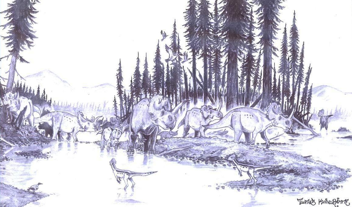Migration: Herd of Centrosaurus apertus on the move, accompanied by Daspletosaurus torosus and pair of Stegoceras validum. (pencil, 2003)