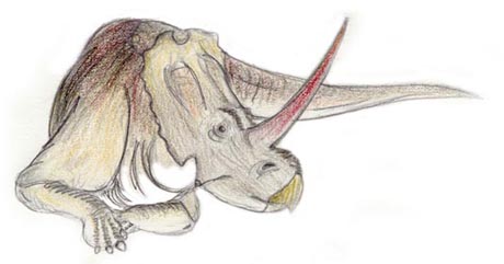 Centrosaurus sketch