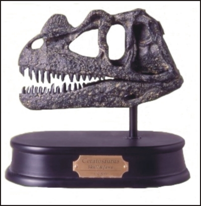 Ceratosaurus Skull Model Replica