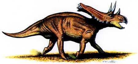 Chasmosaurus dinosaur facts, stats and image