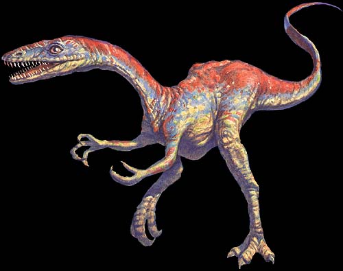 Coelophysis dinosaur facts, stats and image