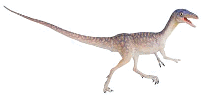 Compsognathus shape