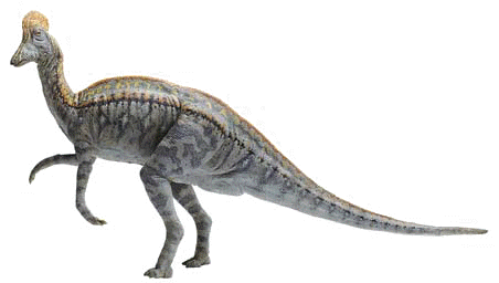 Corythosaurus aspect