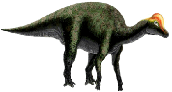 Corythosaurus aspect