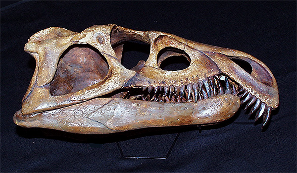 Archosaurus rossicus