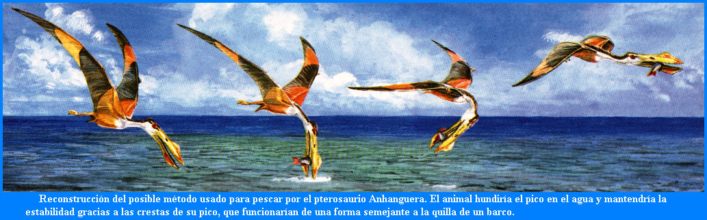 Método de pesca de Anhanguera santanae