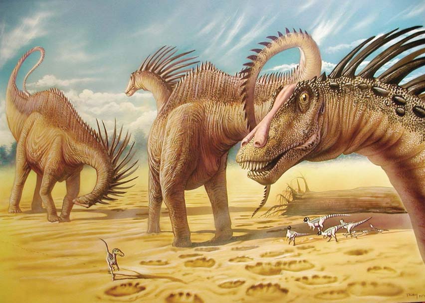 AMARGASAURUS CAZAUI