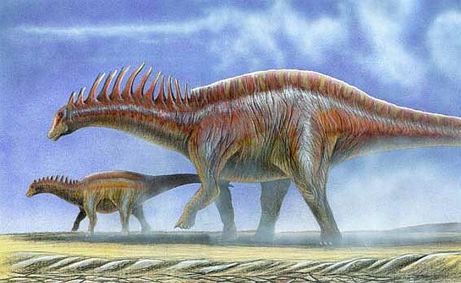 Amargasaurus pair.jpg