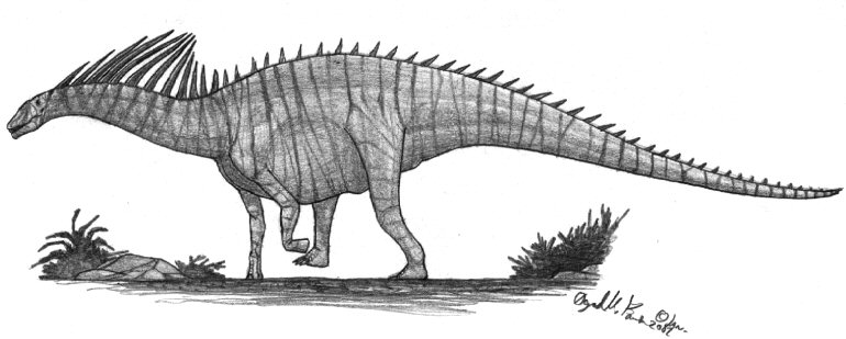 Amargasaurus cazaui