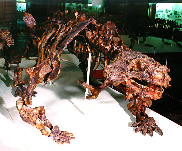 Scutosaurus karpinskii