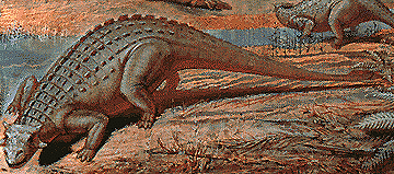 Talarurus lifetime reconstruction