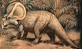 Protoceratops lifetime reconstruction