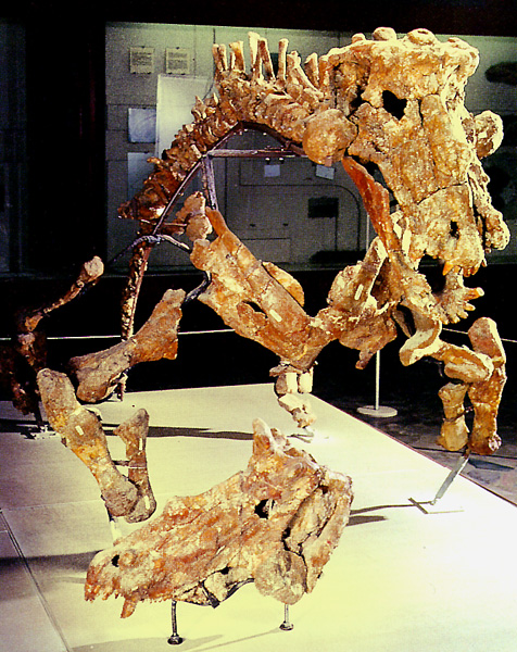 Estemmenosuchus uralensis