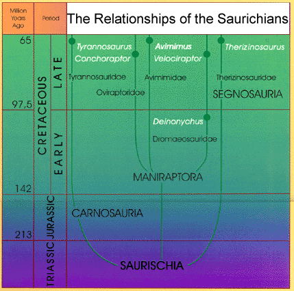 Saurischian Dinosaurs